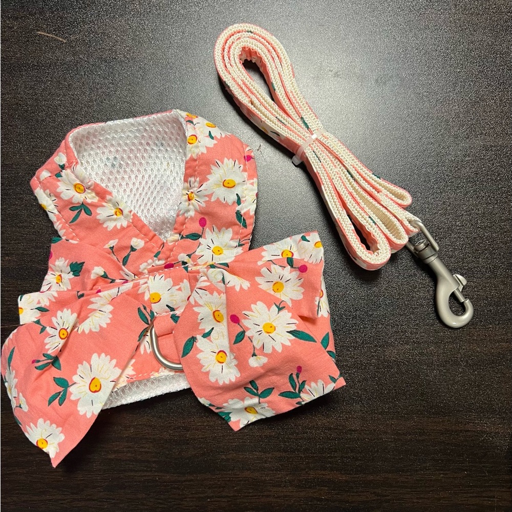 Dog Harness and Leash Set